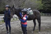 乗馬場での職場体験
