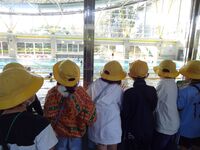 たつのこアリーナ３