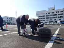子犬のクレートトレーニング