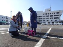 子犬のクレートトレーニング