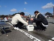 子犬のクレートトレーニング