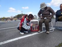 子犬のクレートトレーニング