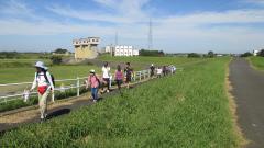 小貝川沿いを歩いている写真