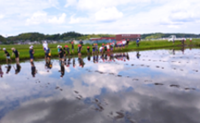 横田農場田んぼの学校
